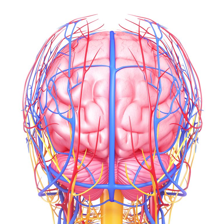 Krwiak podtwardówkowy, urazie głowy, linii środkowej, tego typu, wokół mózgu, zabieg chirurgiczny