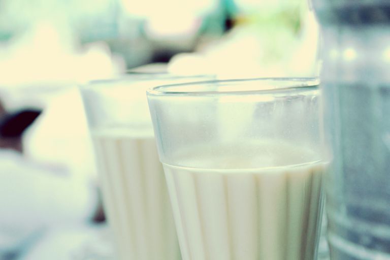 jelicie grubym, dobre bakterie, jelicie cienkim, produkty mleczne