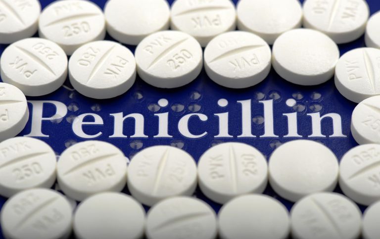 alergią penicylinę, alergii penicylinę, alergię penicylinę, około procent, osób alergią, osób alergią penicylinę