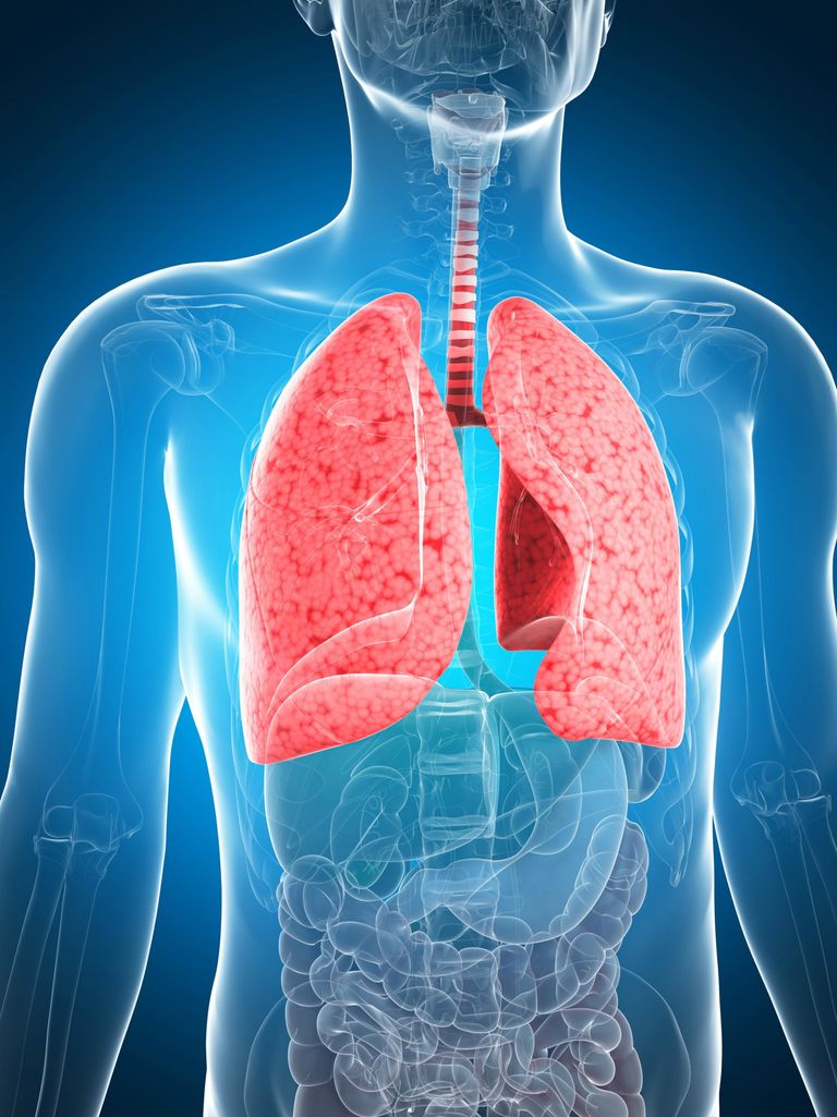zapalenie płuc, zapalenia płuc, bakteryjnego zapalenia, bakteryjnego zapalenia płuc