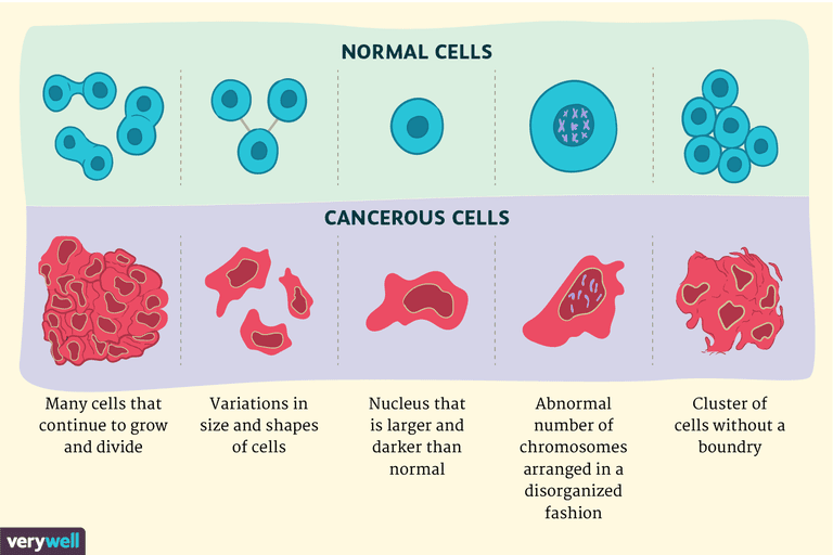 komórki nowotworowe, komórek nowotworowych, komórkami nowotworowymi, komórki rakowe, normalne komórki