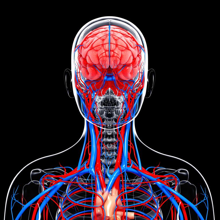 tętnicy szyjnej, zwężenia tętnicy, zwężenia tętnicy szyjnej, tętnic szyjnych