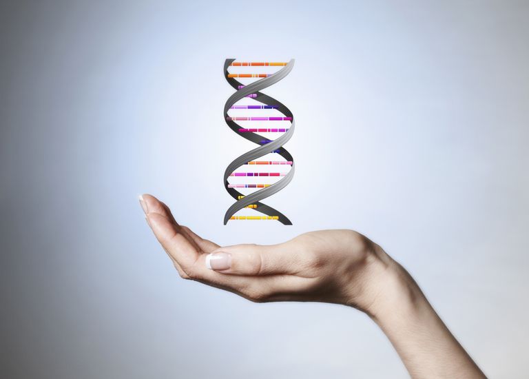 genetyczne celiakię, testy genetyczne, 23andMe który, bezpośrednio konsumenta, genów celiakii, geny kątem