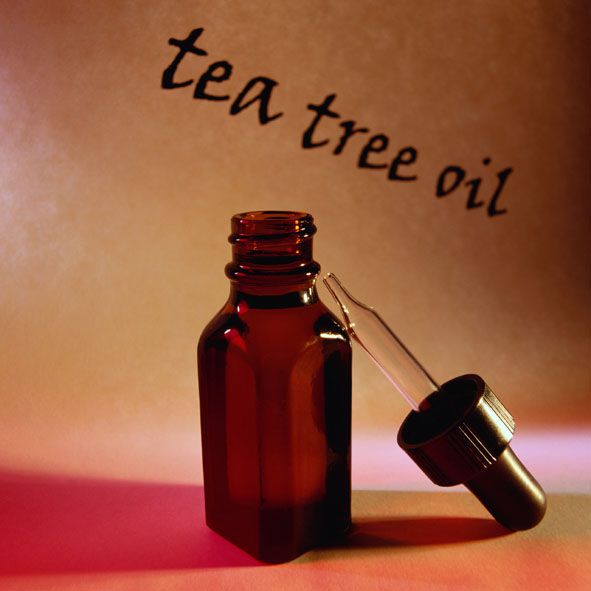 drzewa herbacianego, olejek drzewa herbacianego, leczenia trądziku, olejek drzewa