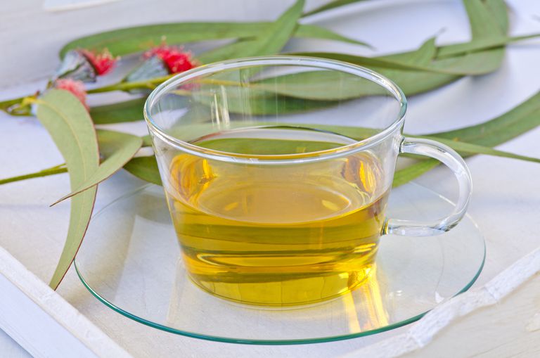 herbaty eukaliptusowej, liści eukaliptusa, drzewa eukaliptusowego, eukaliptusowa jest, jest powszechnie, przygotować herbatę