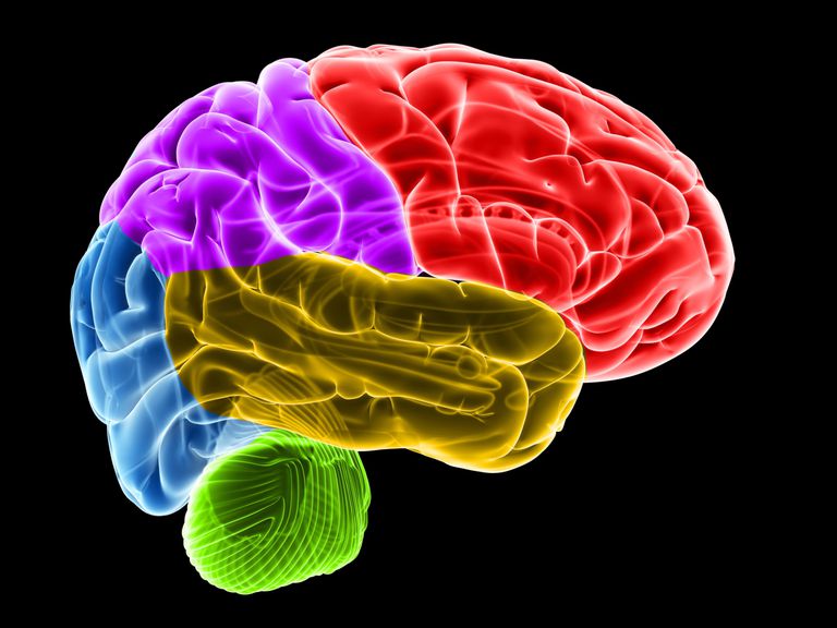 receptorów opioidowych, aktywacji obszarów, aktywacji obszarów mózgu, fMRI spektroskopii