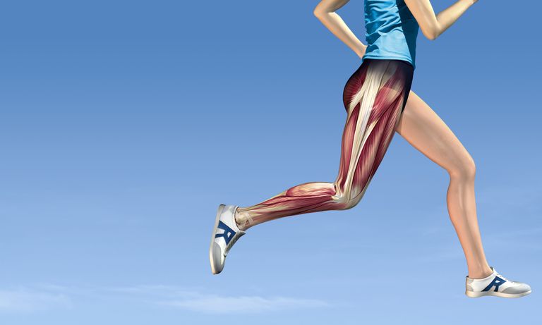 chodzenia biegania, gluteus medius, Jeśli masz, Jeśli twój, mięśni wokół, mięśni wokół bioder
