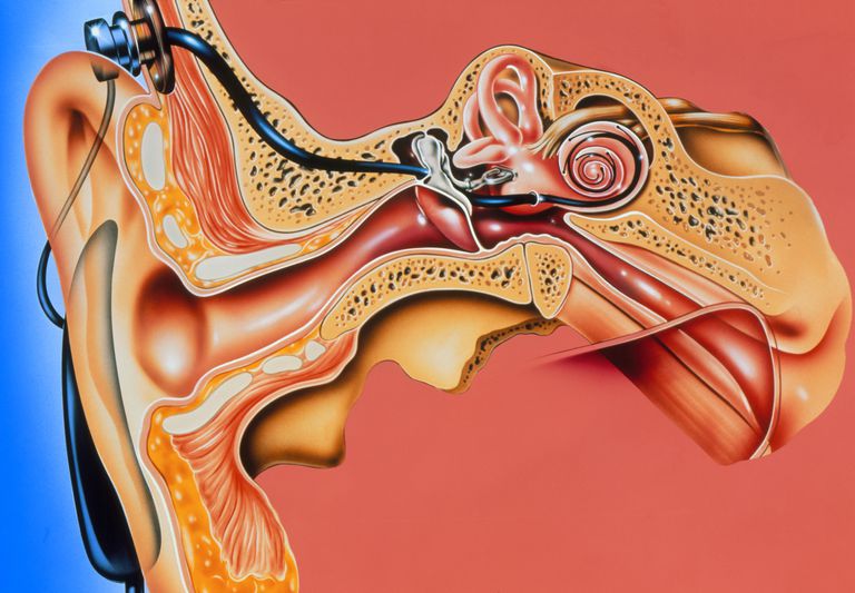 implantu ślimakowego, latach siedemdziesiątych, nerwu akustycznego