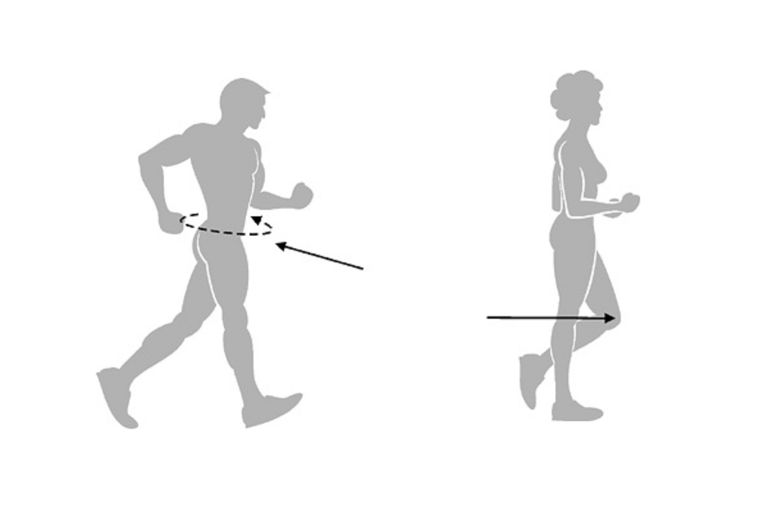 kroków minutę, stopa musi, Technika tropienia, brzucha może, części pleców, długość kroku