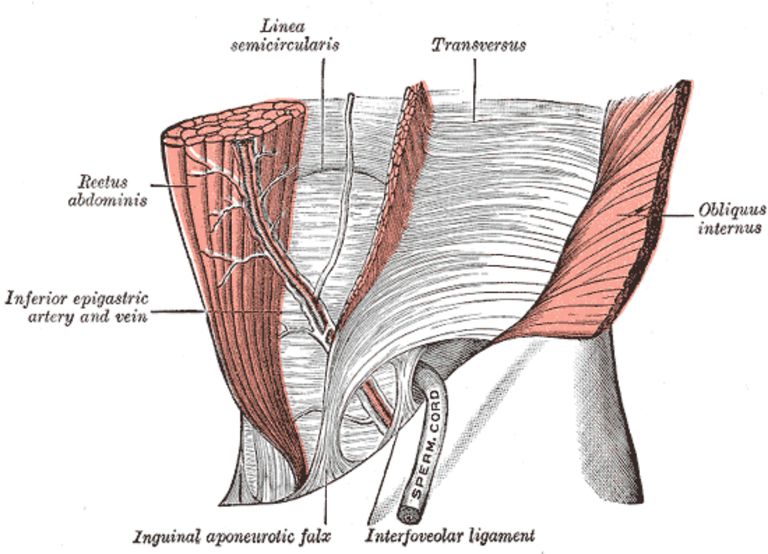 kręgosłupa lędźwiowego, mięśni brzucha, aktywacji mięśni, brzucha rdzenia, części pleców, dolnej części