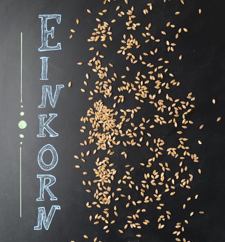 badanie opublikowane, formy pszenicy, osób celiakią, pszenica Einkorn, pszenicy Einkorn
