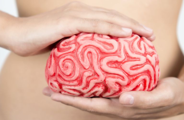 medycyny behawioralnej, między mózgiem, może pomóc, mózg brzuch, organizmu stres