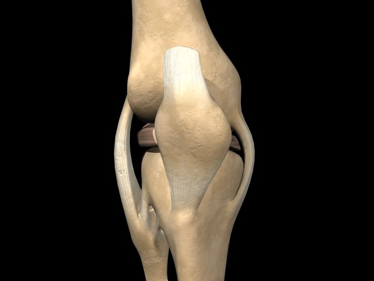 stawu kolanowego, jest odporny, jest odporny poszerzenie, jest zwykle, końca kości