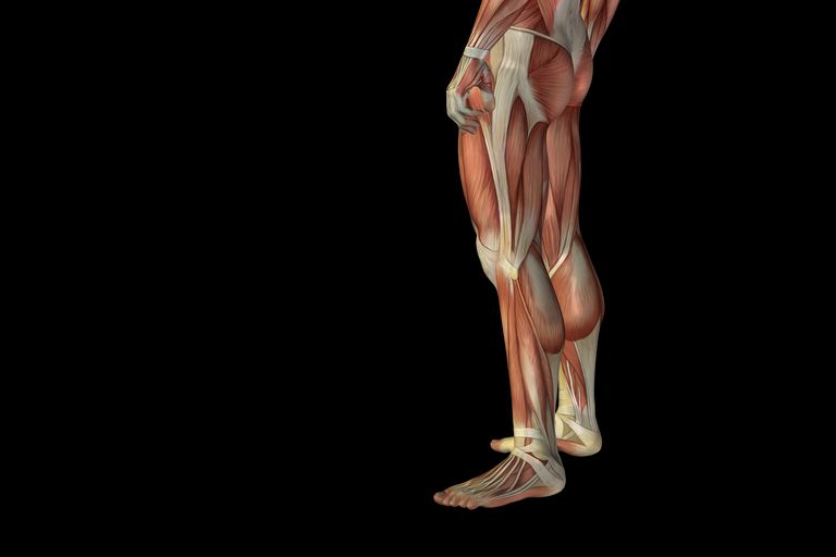 nerwu rdzeniowego, rdzenia kręgowego, zwężenie występuje, bokach kręgosłupa, gdzie zwężenie, gdzie zwężenie występuje