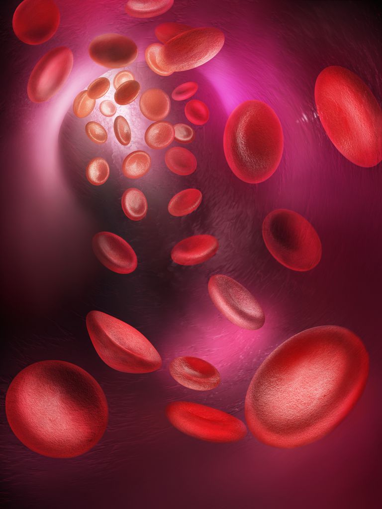 komórek krwi, komórek progenitorowych, białych krwinek, komórek szpikowych