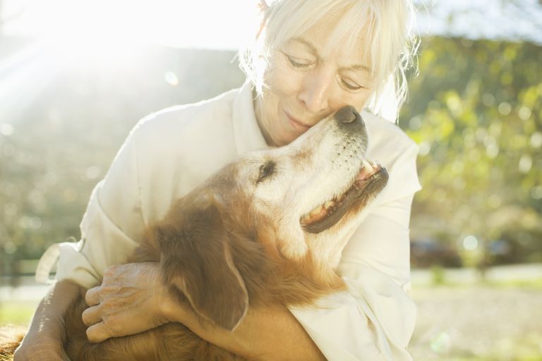 zwierząt domowych, terapii zwierząt, terapii zwierząt domowych, przez zwierzęta, chorych raka, które mogą