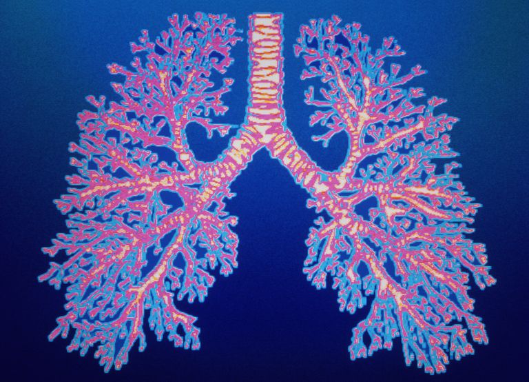 etap oddychania, klatki piersiowej, powietrza płuc, przechodzi przez