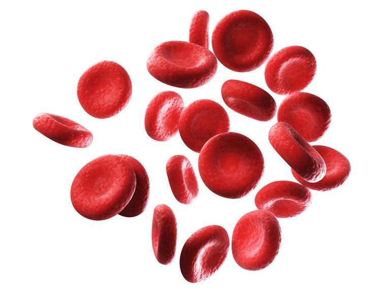 czerwonych krwinek, płytek krwi, białych krwinek, dużo czerwonych, dużo czerwonych krwinek, krwinek czerwonych