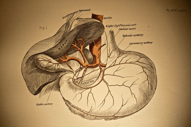 gruczołu krokowego, aorty brzusznej, kamienie nerkowe, kamieni nerkowych, bólu pleców, jamie brzusznej
