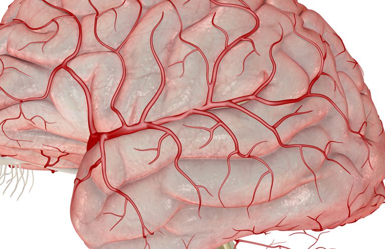 mózgu jest, małego naczynia, naczyń krwionośnych, dopływu krwi