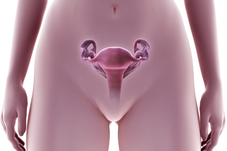 endometrium jest, biopsją endometrium, lekarza jeśli, poinformować lekarza, poinformować lekarza jeśli, szyjki macicy