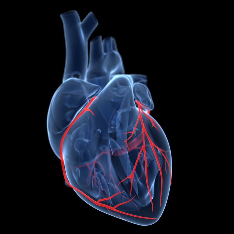 mięsień sercowy, mięśnia sercowego, tętnic wieńcowych, atak serca, atak serca powstały, Jeśli przepływ